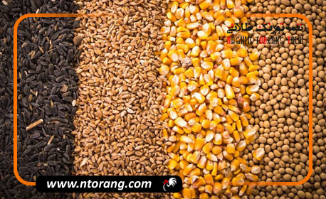 در اختیار قراردادن نهاده های مدت‌دار به دامداران و مرغداران